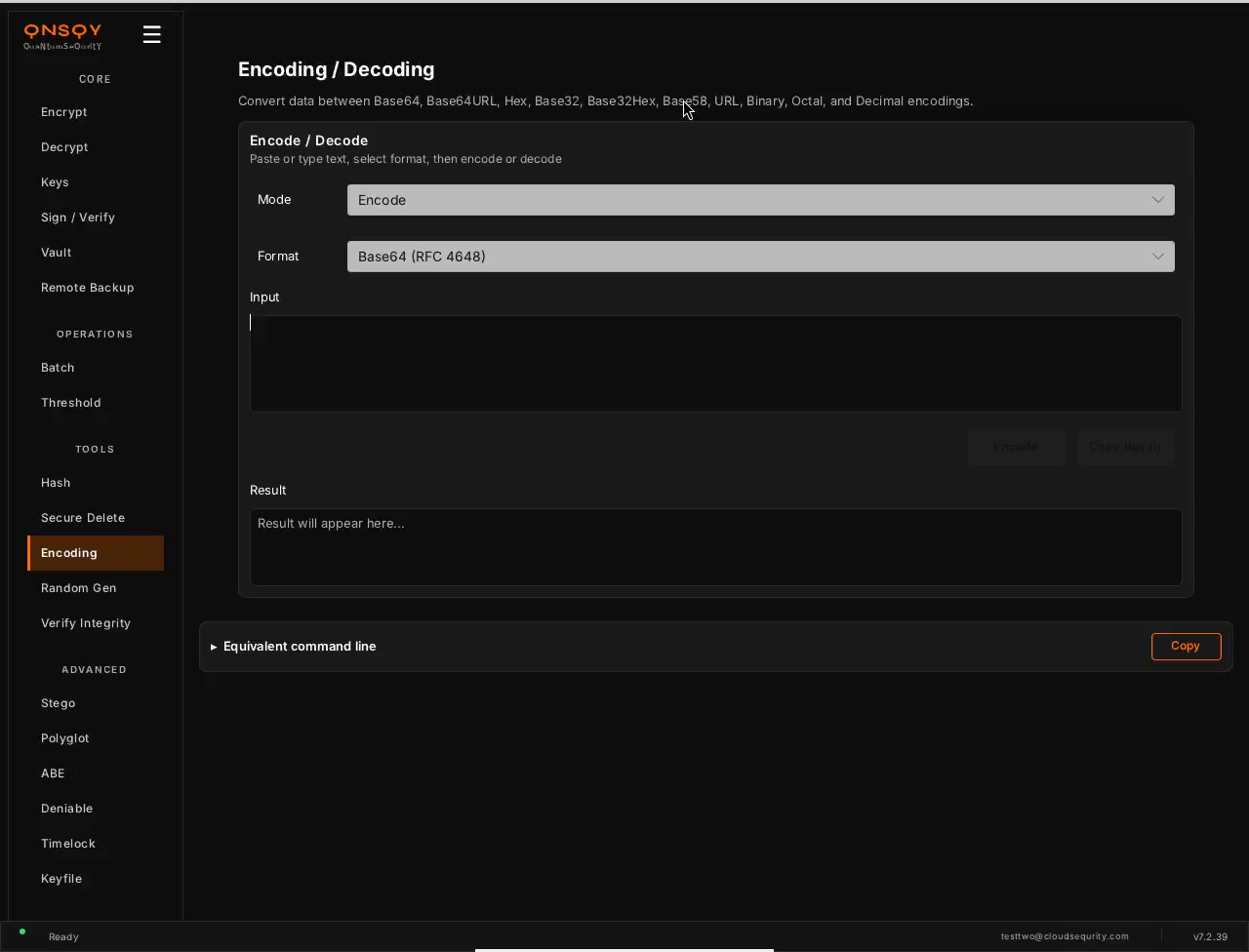 QNSQY Encoding / Decoding screen: a Mode dropdown set to Encode, a Format dropdown set to 'Base64 (RFC 4648)', a large Input text box, Encode and Copy Result buttons, and a Result box reading 'Result will appear here...'.