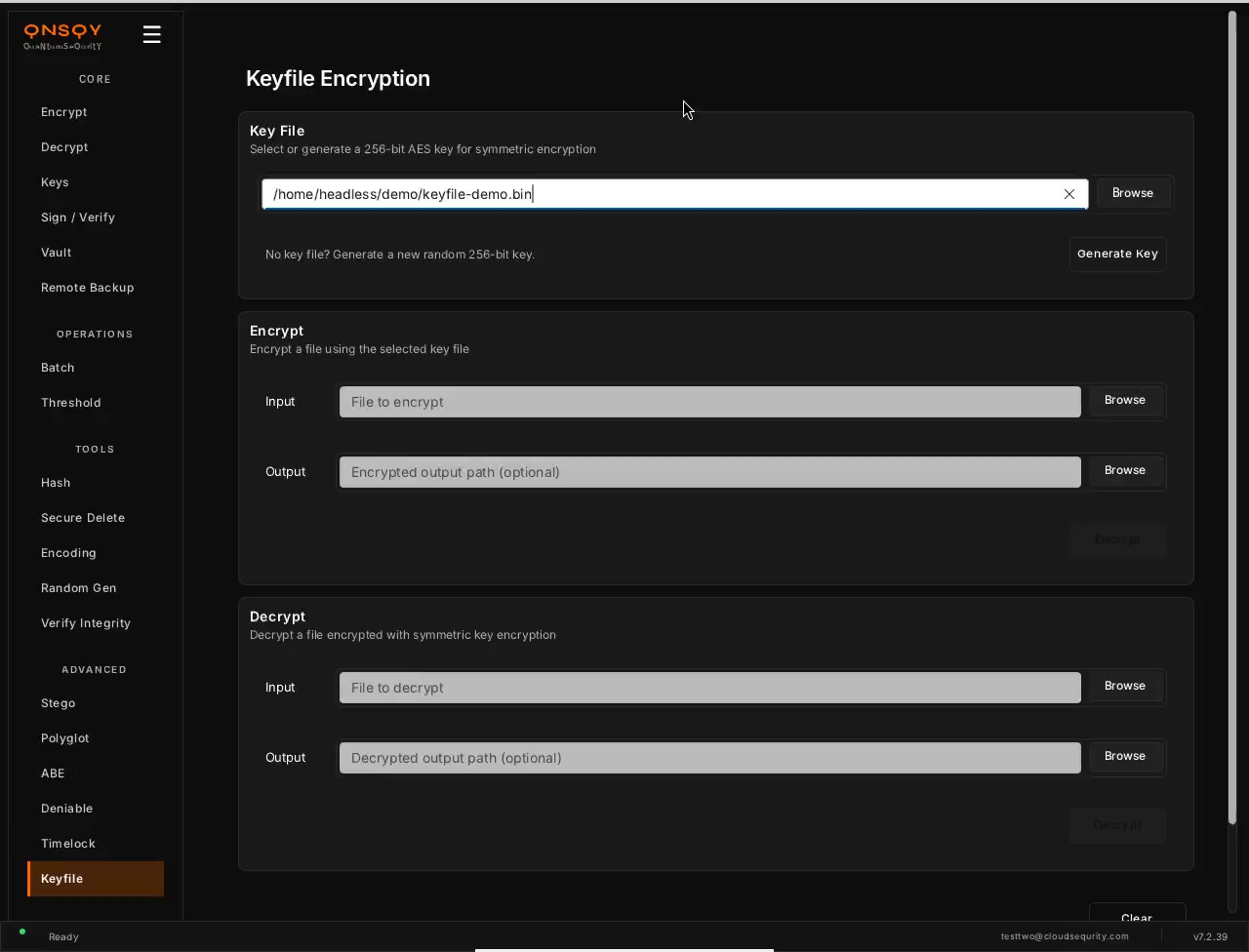 QNSQY Keyfile Encryption screen: a Key File section with a select-or-generate key-file field and a Generate Key button, an Encrypt section with Input and Output fields and an Encrypt button, and a Decrypt section with Input and Output fields and a Decrypt button.