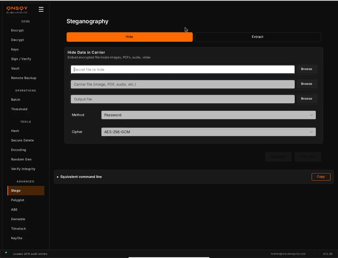 QNSQY Steganography screen on the Hide tab: a 'Hide Data in Carrier' panel with Secret file, Carrier file, and Output file pickers, a Method dropdown set to Password and a Cipher dropdown set to AES-256-GCM, Capacity and Hide Data buttons, and an Equivalent command line showing qnsqy stego hide.